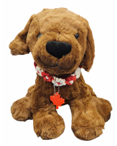 Pet Collar - Daisy - Canada - PRICE INCLUDES SHIPPING
