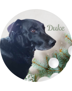 Sugar Ornaments - Custom